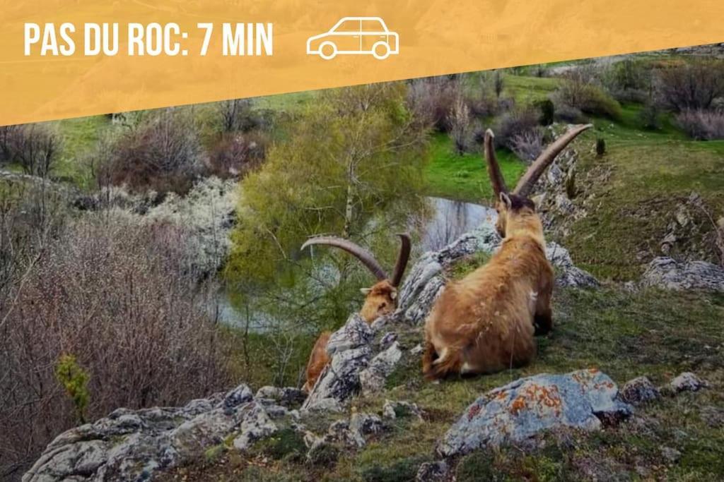 Апартаменты Au Pied Des Cols Et Des Stations Сен-Мишель-де-Морьен Экстерьер фото